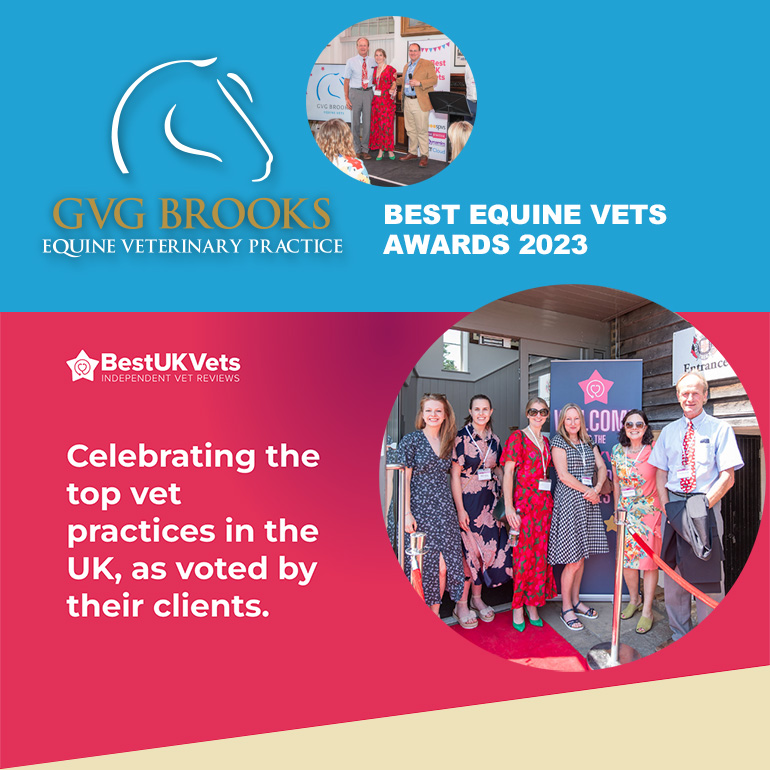 best_vet_2023